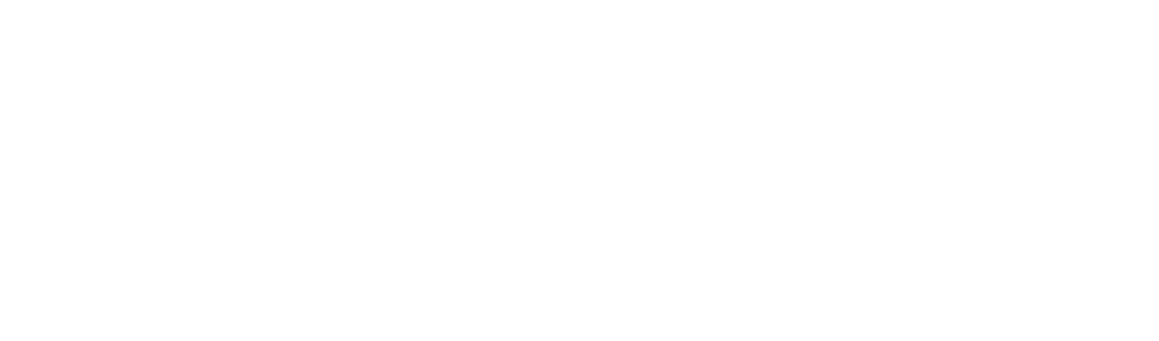 Academia E.I.B.